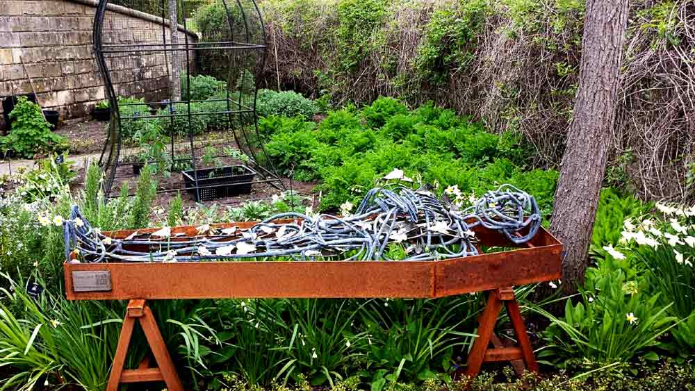 অনেক সময় দেখা গিয়েছে, বাগানে ঘোরার সময় কিছু পর্যটক হাওয়ায় টক্সিন মিশ্রিত ধোঁয়ার উপস্থিতির কারণে অজ্ঞানও হয়ে পড়েন।