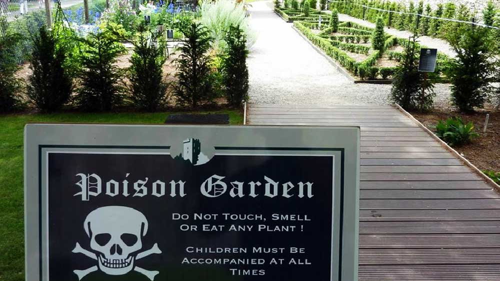 ২০০৫ সালে এই বাগানটি জনগণের জন্য খোলা হলেও এর ইতিহাস বহু পুরনো। ফুলের বাগান নয়, বরং ‘বিষ বাগান’ তৈরি করতে চেয়েছিলেন ডাচেস অব নর্থাম্বারল্যান্ড।