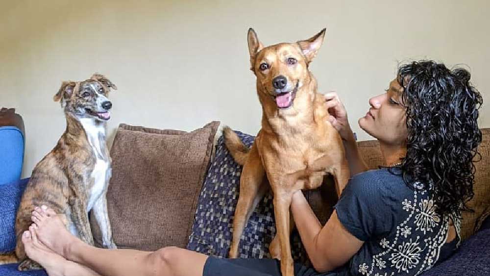 পুরো বিষয়টি নিয়ে কী মত তানিশার? তানিশার দাবি, সংসার এবং বাড়ি সম্পর্কে তাঁর ধারণা তথাকথিত ধ্যানধারণা থেকে একেবারেই আলাদা। তিমি জানিয়েছেন, তাঁর কাছে সংসার সেটা নয়, যেখানে স্বামী বা স্ত্রী একে অপরের জন্য অপেক্ষা করে থাকে।