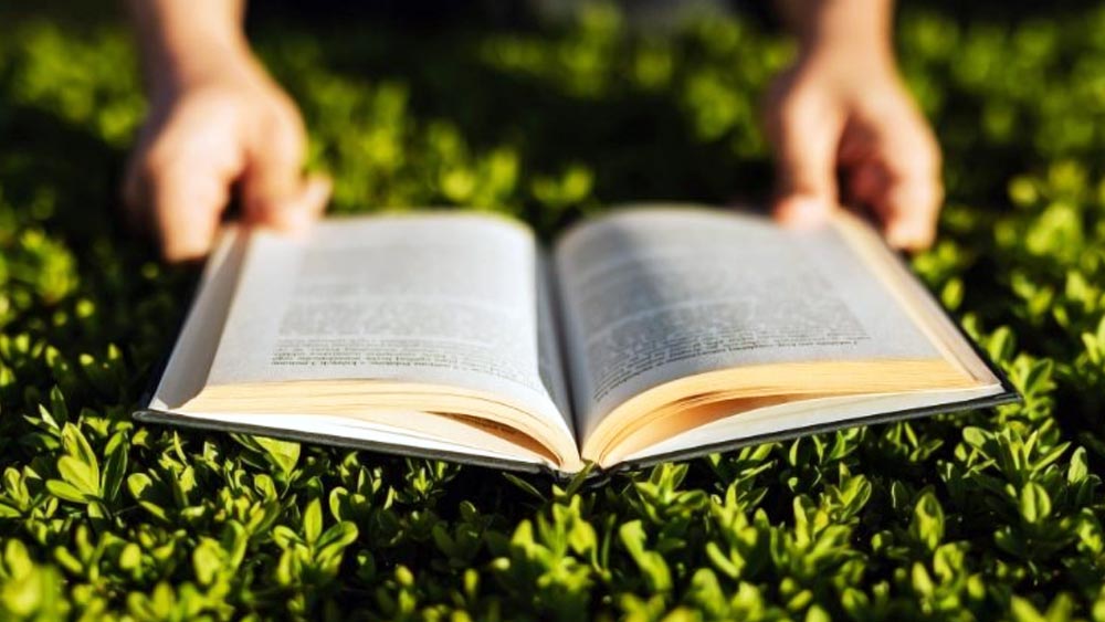 আট বছর পরের ঘটনা। কাম্বারল্যান্ডের উদ্দেশে চলেছেন কোলেরিজ। একটি শার্ট, গলায় বাঁধার বিশেষ ক্রাভাট, প্যান্ট, মোজা, কাগজ, কলম, রাতে পড়ার টুপি— সব কিছুই মনে করে নিয়েছিলেন তিনি। সঙ্গে ছিল জার্মান ভাষায় লেখা একটি কবিতার বই।