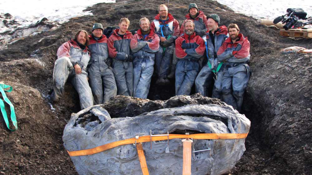 সমুদ্রের এমনই এক ভয়ঙ্কর দানবের খোঁজ পেয়েছেন বিজ্ঞানীরা। ২০০৬ সালে ইউরোপ ও সুমেরু অঞ্চলের মধ্যবর্তী এলাকায় এমনই এক জন্তুর দু’টি খুলির খোঁজ মেলে।