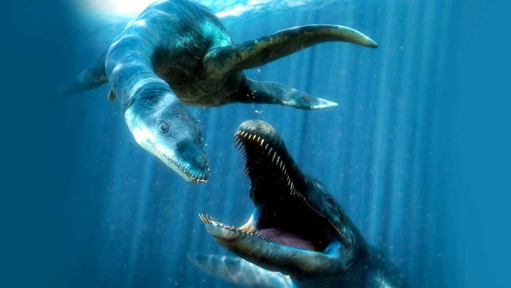 এর ওজন ৪৫ টনের কাছাকাছি (আনুমানিক ৪০,৮২৩ কিলোগ্রাম)। সমুদ্রের তলায় শিকারিদের মধ্যে সবচেয়ে ভয়ানক ছিল এই পিলোসরাস। 