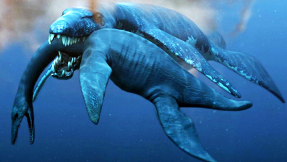 এই সরীসৃপের এক বিশেষ নাসিকাগ্রন্থি রয়েছে। বিজ্ঞানীদের দাবি, শিকারের গায়ের গন্ধ অনুসরণ করে শিকার খুঁজে বার করত তারা। খুব সন্তর্পণে শিকার করত এই ‘প্রিডেটর’।