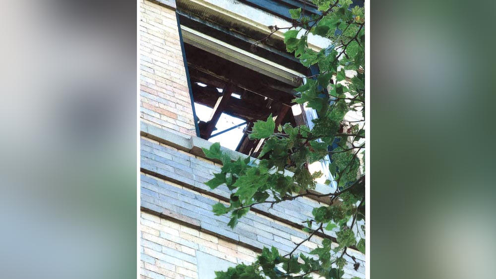 ২০১৩ সালে রেনেসাঁ রিভাইভাল আঙ্গিকে তৈরি হার্লেমের এই প্রাসাদটি কিনেছিলেন লিজা। যদিও তিনি নিজে থাকেন ব্রুকলিনে। সুগার হিল ডিসট্রিক্টের এই চোখধাঁধানো প্রাসাদটিকে ২০০১ সালে ঐতিহ্যবাহী বিল্ডিংয়ের তকমা দেন জেলা কর্তৃপক্ষ।