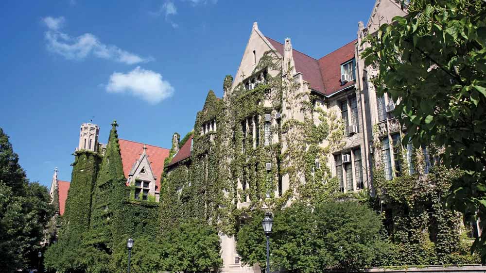 নামীদামি সংস্থার কাজ করা লিজার ঝুলিতে শিকাগো বিশ্ববিদ্যালয়ের বিজনেস অ্যাডমিনিস্ট্রেশনের ডিগ্রি রয়েছে। তাঁর বাবা ছিলেন ওয়াশিংটনের এক নামজাদা অর্থনীতিবিদ। ট্রেজারি ডিপার্টমেন্টের প্রধান হিসাবে কাজ করতেন তিনি। লেবার ডিপার্টমেন্টের আধিকারিক হিসাবে মা গোটা বিশ্ব চষে বেড়াতেন।