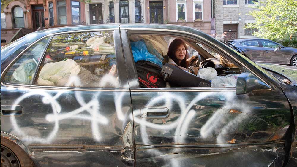 বিত্তশালী পবিবারে মানুষ হলেও ব্রুকলিনের প্রসপেক্ট পার্কে একটি সমবায় সোসাইটিতে বাস করেন লিজা। যিনি গ্রাফিতি আঁকা একটি টয়োটা ক্যাম্রি চড়ে ম্যানহাটন এবং ব্রুকলিন এলাকার জঞ্জাল কুড়িয়ে বেড়ান।