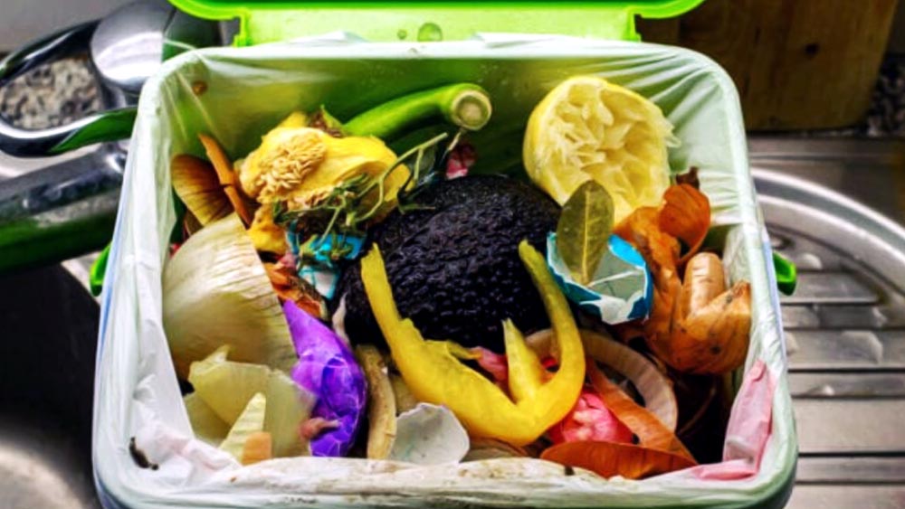 সুগার হিল ডিসট্রিক্টে ওই ভাঙাচোরা প্রাসাদ ছাড়াও হার্লেমে আরও দু’টি ঐতিহ্যবাহী বিল্ডিংয়ের মালকিন লিজা। তবে সেগুলিও ফাঁকা পড়ে রয়েছে। সেগুলিও দশা কম বেহাল নয়। পড়শিরা জানিয়েছেন, বছরের পর বছর ধরে ওই বিল্ডিংগুলির ভিতরে জমা হওয়া আবর্জনার দুর্গন্ধে এলাকায় টেকা দায় হয়ে পড়েছে।