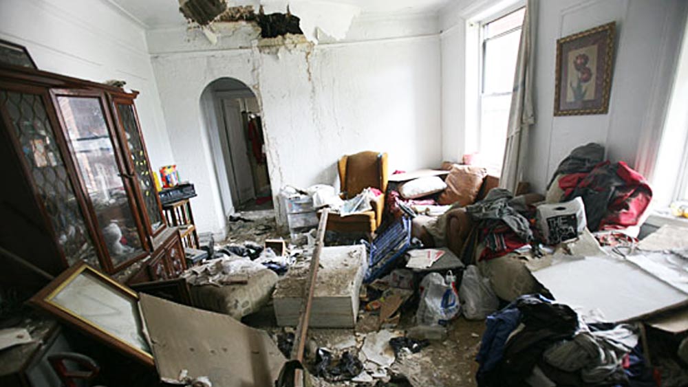 এত বছরে এক বারও কি প্রাসাদ সংস্কার করাতে উদ্যোগী হননি লিজা? শহর কর্তৃপক্ষ জানিয়েছেন, বেশ কয়েক বার সংস্কার করার অনুমতি পেলেও শেষ মুহূর্তে তা বাতিল করে দিয়েছেন লিজা।