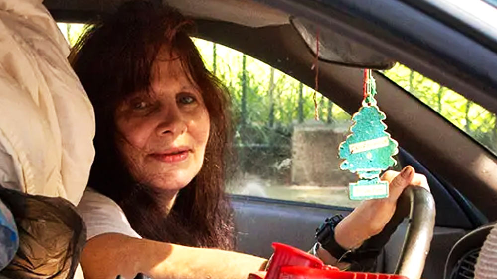 ২০১৮ সালে আমেরিকার একটি সংবাদমাধ্যমে সাক্ষাৎকারে লিজা জানিয়েছিলেন, ভাঙাচোরা প্রাসাদটি সংস্কার করার পরিকল্পনা করছেন। সে সময় তিনি বলেছিলেন, ‘‘নিউ ইয়র্কে থাকতে গেলে সব সময়ই কিছু না কিছু সংস্কার করাতে হবে আপনাকে। কারণ শহরের লোকজন আপনাকে দিয়ে তা-ই করাতে চান।’’ তবে এর বছরখানেক পরেই সংস্কারের পরিকল্পনা বাতিল করে দেন। সে সময় লিজা বলেছিলেন, প্রাসাদ সংস্কারের সময় নেই তাঁর হাতে। তিনি ব্যস্ত!