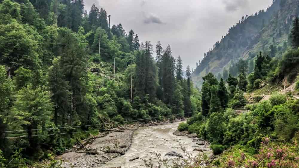 পাশাপাশি এই উপত্যকায় পাহাড়গুলি খাড়া এবং যাতায়াতের রাস্তা খুব সরু। তাই পাহাড় চড়তে গিয়েও অনেকে প্রাণ হারিয়েছেন বলে মনে করা হয়। এ-ও মনে করা হয়, পার্বতী উপত্যকার পাহাড় এবং জঙ্গলে থাকা অনেক হিংস্র প্রাণীর শিকার হতে হয়েছে পর্যটকদের।