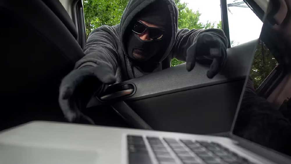 ডাকাতির পর তদন্তকারীদের সন্দেহের তালিকায় প্রথম পড়েন মার্লিনো গ্যাং, রবার্ট ‘ববি’ গৌরেন্তে, ববি ডোনাতি, হোয়াইটি বালগার, ডেভিড টার্নারের মতো বস্টনের কুখ্যাত অপরাধীরা। সন্দেহের তালিকায় ছিলেন জাদুঘরের নিরাপত্তারক্ষীরাও।