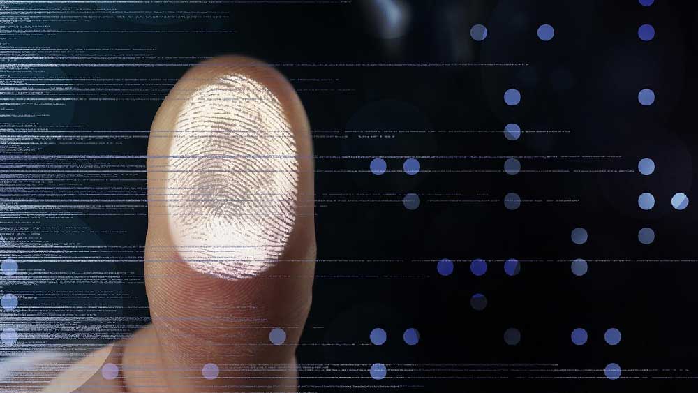 এফবিআই তদন্ত শুরু করে দেখে, ডাকাতেরা বিশেষ কোনও প্রমাণ ঘটনাস্থলে রেখে যাননি। পাশাপাশি, এফবিআই আধিকারিকরা এই সিদ্ধান্তেও আসতে পারেননি যে, ঘটনাস্থল থেকে পাওয়া আঙুলের ছাপ ডাকাতদের না জাদুঘরের কর্মচারীদের। প্রমাণের অভাব থাকায় এই ডাকাতির ঘটনাকে ‘অনন্য’ বলেও উল্লেখ করে এফবিআই।