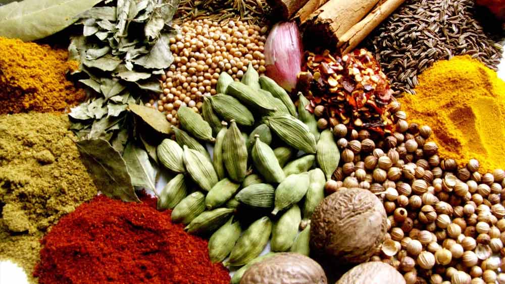 মশলা তৈরি করার জন্য একটি বিশেষ যন্ত্রের সন্ধান পান সবিতা। তাঁর এক বন্ধুর কাছে তিনি খোঁজ নিয়ে জানতে পারেন, এই যন্ত্রের দাম ৬৫ হাজার টাকা।