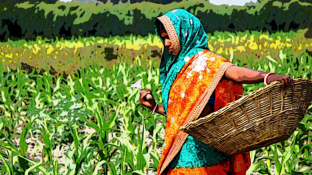 অতিরিক্ত উপার্জনের জন্য তিনি সোয়াবিন ও গমের চাষও শুরু করেন। এই ব্যবসা করেই তিনি ছ’বছরের মাথায় সাত লক্ষ টাকা শোধ করে দেন। এক সাক্ষাৎকারে সবিতা জানিয়েছেন, ২০১৫ সাল পর্যন্ত প্রতি মাসে ৬০ হাজার টাকা উপার্জন করতেন তিনি।