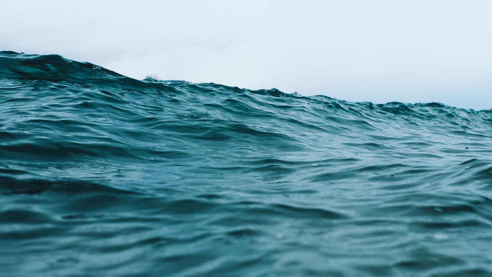 ১০ হাজার যাত্রীর মধ্যে মাত্র ১,২০০ জনকে ঘটনাস্থল থেকে উদ্ধার করা হয়। উদ্ধার করার সময় তাঁদের নজরে পড়ে একটি ছোট বাচ্চা লাইফবোটের সঙ্গে জড়িয়ে রয়েছে। বাচ্চাটিকে উদ্ধার করে সেই উদ্ধারকারী দলের এক আধিকারিক তাকে দত্তক নেন।