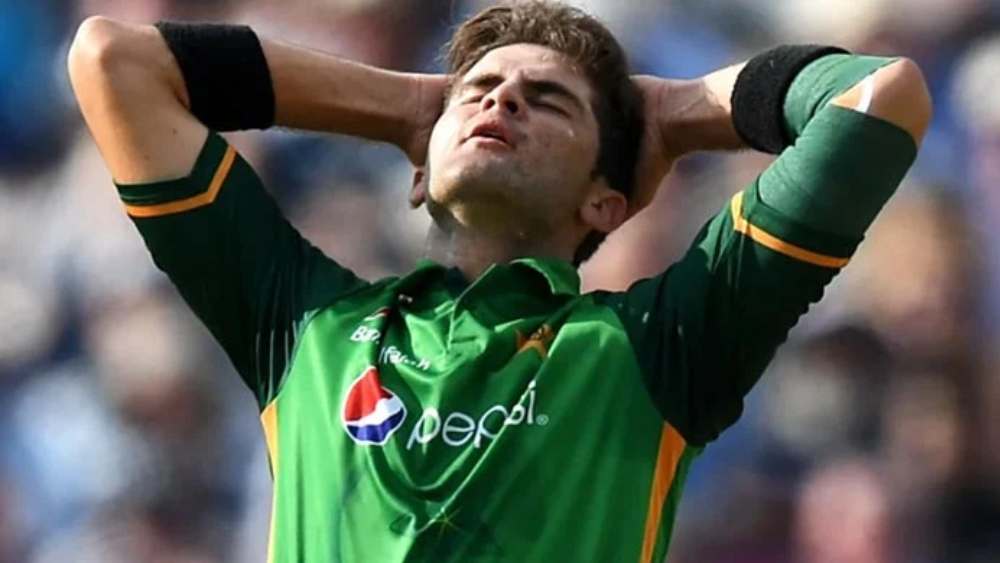 টি-টোয়েন্টি বিশ্বকাপে পাকিস্তানের যে দল খেলেছিল সেই দলের বেশ কয়েক জন ক্রিকেটার এশিয়া কাপের দলেও রয়েছেন। তবে শাহিন শাহ আফ্রিদি, শোয়েব মালিক, হাসান আলির মতো ক্রিকেটার নেই। কেমন হতে পারে এ বারের সম্ভাব্য একাদশ? রোহিত শর্মাদের বিরুদ্ধে কারা নামতে পারেন মাঠে?