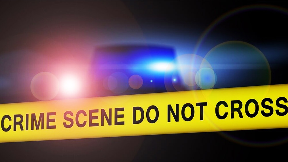 যেন শার্লক হোমসের ‘আ স্টাডি ইন স্কারলেট’-এর গল্প। যেখানে রক্তের দাগ থেকে অপরাধীকে ধরেন হোমস। আট সপ্তাহের শিশু থেকে শুরু করে ৫১ বছর বয়সি বৃদ্ধা। রাতারাতি বাড়ি থেকে উধাও হয়ে যায় লন্ডনে বসবাসকারী ভারতীয় প্রবাসী অমরজিৎ চৌহানের পরিবার। তবে তদন্তে নেমে পুলিশ জানতে পারে, জঘন্য চক্রান্ত এবং অপরাধের শিকার একই পরিবারের তিন প্রজন্ম। একই সঙ্গে এটি ব্রিটেনের সবচেয়ে ভয় ধরানো অপরাধের ঘটনাগুলির মধ্যেও অন্যতম বলে মনে করা হয়।