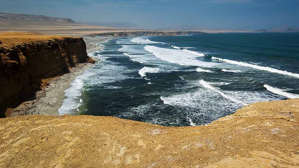 যখন অমরজিতের মৃতদেহ সমুদ্র থেকে উদ্ধার করা হয়, তখন ময়নাতদন্তকারীরা তার একটি পায়ের মোজার মধ্যে একটি কাগজের টুকরো খুঁজে পান। এই কাগজে লেখা ছিল যে অমরজিৎ, কেনেথ রেগান নামে এক জনকে তাঁর সংস্থার মালিকানা দিয়ে যাচ্ছেন। তদন্তকারীরা জানতে পারেন কেনেথ ‘শিবা’ সংস্থারই এক কর্মী। 