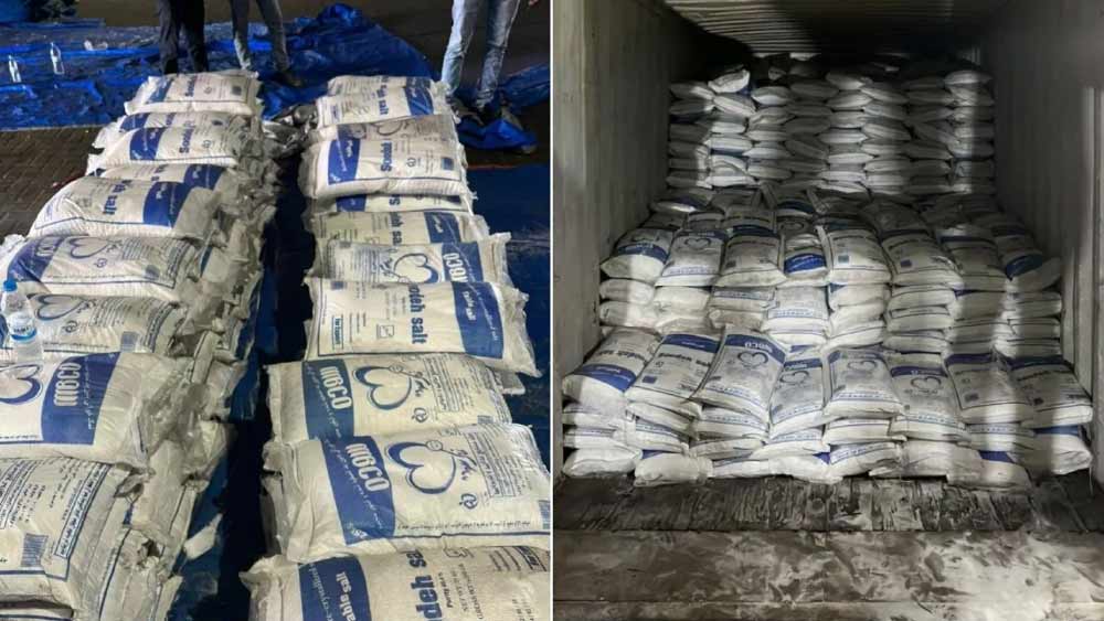 এনআইএ জানিয়েছে, দিল্লির ১৪টি জায়গা, গুজরাতের দু’টি, পঞ্জাবের একটি এবং পশ্চিমবঙ্গের তিনটি-সহ মোট ২০টি জায়গায় তল্লাশি অভিযান চালিয়ে এই কবীর এবং প্রিন্সকে গ্রেফতার করা হয়েছে।