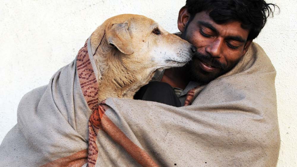 কুষ্কল গ্রামের বাসিন্দা হিতেশ চৌধর সংবাদমাধ্যমে এক সাক্ষাৎকারে জানান, কুকুরদের যেন স্বাস্থ্যকর খাবার দেওয়া হয় তা নিয়ে গ্রামের প্রতিটা মানুষ সচেতন। ‘‘এই পৃথিবীকে আরও পশুবান্ধব করে গড়ে তুলতে সকলে আমাদের সহায়তা করছেন’’, বলেন হিতেশ।