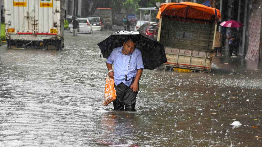 কলকাতার রাস্তায় রাস্তায় দেখা গিয়েছে এই চিত্র।