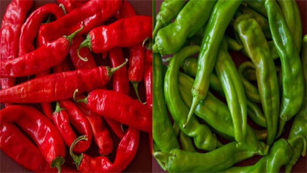 শুকনো লঙ্কা না কি কাঁচা লঙ্কা— কোনটি বেশি উপকারী, তা নিয়ে দ্বন্দ্বের শেষ নেই।