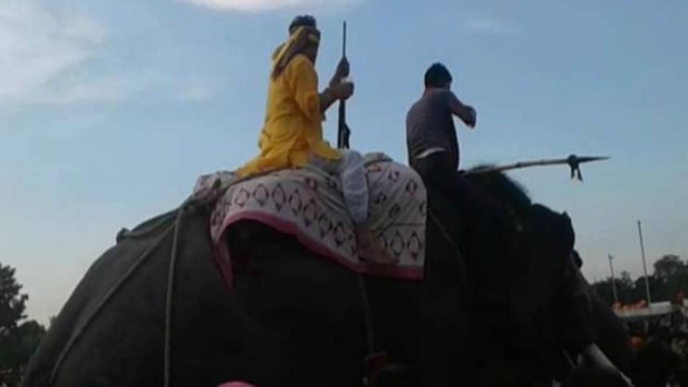 হাতির পিঠে বসে আছেন বিজেপি বিধায়ক। মাথায় পাগড়ি, হলুদ জামা পরা। তাঁর ঠিক পিছনে বসে বিধায়কের দেহরক্ষী। 