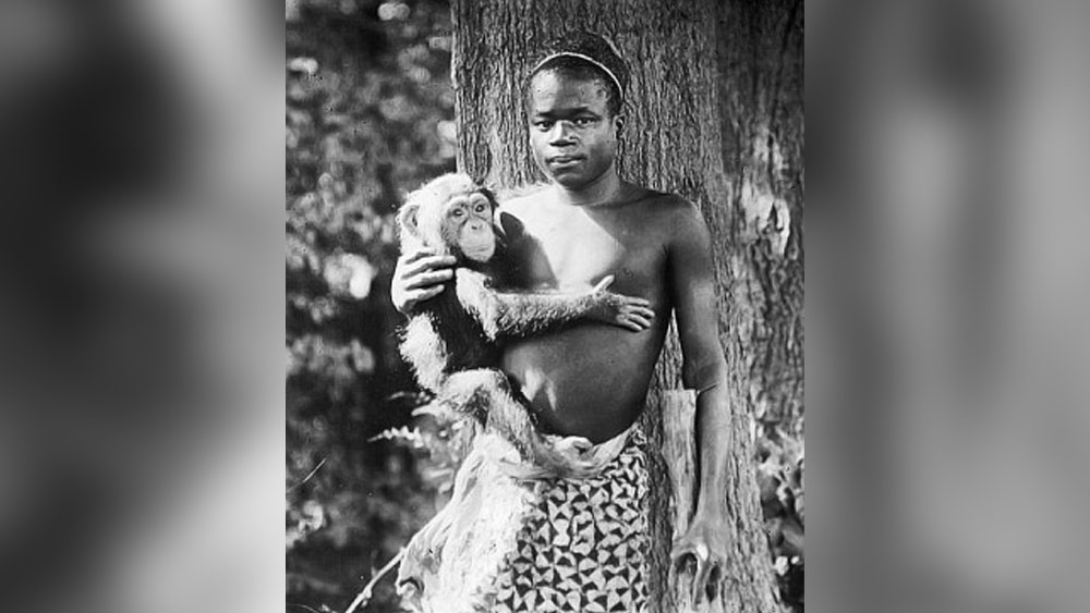 জনগণের একাংশের ক্ষোভের মুখে প়ড়ে চিড়িয়াখানা থেকে মুক্তি দেওয়া হয় ওটাকে। চিড়িয়াখানা থেকে বেরিয়েও অবশ্য সম্পূর্ণ মুক্তি হয়নি তার। আফ্রিকান-আমেরিকান রেভারেন্ড জেমস এইচ গর্ডন পরিচালিত নিউ ইয়র্কের ‘হাওয়ার্ড কালারড অরফান’ মানসিক চিকিৎসাকেন্দ্রে জায়গা হয় ওটার।