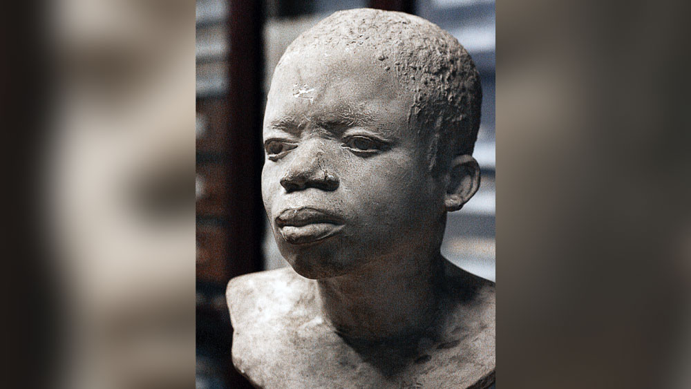 ওটার মৃত্যুর ১০০ বছর পর, ২০২০ সালে চিড়িয়াখানা কর্তৃপক্ষের তরফ থেকে তাঁকে বন্দি করার বিষয়টি স্বীকার করে নেওয়া হয়। ওটার প্রতি অমানবিক ব্যবহারের জন্য নিঃশর্ত ক্ষমা চাওয়া হয় চিড়িয়াখানা কর্তৃপক্ষের তরফ থেকে।