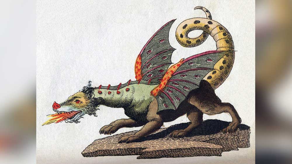 সুমেরীয়, বৌদ্ধ, চিন, জার্মানের প্রাচীন গ্রন্থে এক ধরনের প্রাণীর উল্লেখ করা হয়েছে। কিন্তু কোথাও স্পষ্ট ভাবে বলা নেই যে, সেই প্রাণীগুলি আদতেও ড্রাগন নামের কোনও প্রজাতির অন্তর্ভুক্ত। এমনকি, এই নামেরও উল্লেখ করা হয়নি কোনও পুরাণেই।