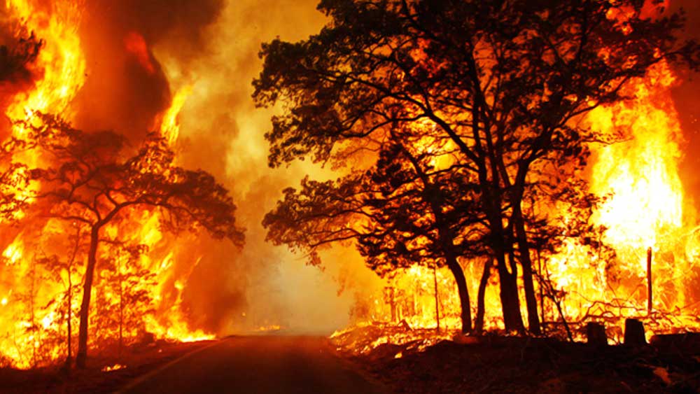 রহস্যজনক ভাবে কোনও জায়গায় আগুন লেগে গেলে লোকে ভাবতেন, ড্রাগন তার মুখ দিয়ে আগুন বের করে এই জায়গাগুলি পুড়িয়ে নষ্ট করে দিয়েছে।