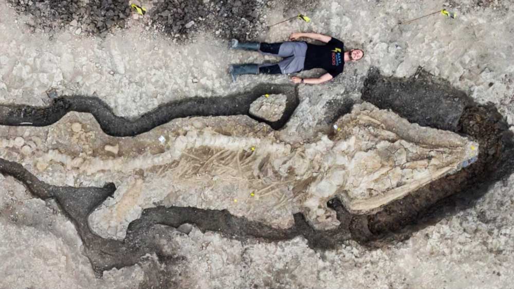 তবে, জীবাশ্ম এ ক্ষেত্রে গুরুত্বপূর্ণ ভূমিকা পালন করে। সময় বিশেষে মাটি খুঁড়ে এমন জীবাশ্ম পাওয়া গিয়েছে, যা গবেষণা করে জানা যায়, এই জীবাশ্ম ডাইনোসরের নয়।