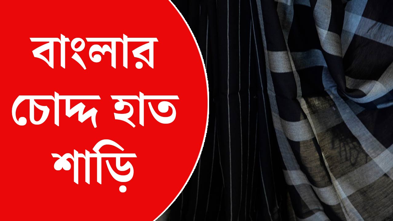 পুরনো শাড়ি নতুন ভাবে, পুজোর আগে নতুন সাজের খোঁজে 