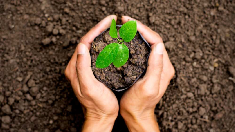 প্রতীকী ছবি