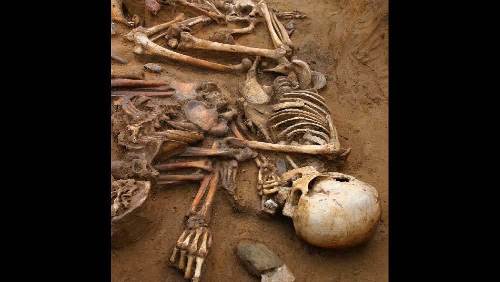 পরে নগ্ন অবস্থায় তাঁদের খুন করত। খুলি ফুটো করে শরীরের ভিতর এমন রাসায়নিক পদার্থ ঢালত যে অঙ্গ প্রত্যঙ্গগুলি ঠিক মতো সংরক্ষিত থাকে। এর পর তার ইচ্ছা মতো মৃতদেহ থেকে তার পছন্দ মতো অংশ কেটে নিত।