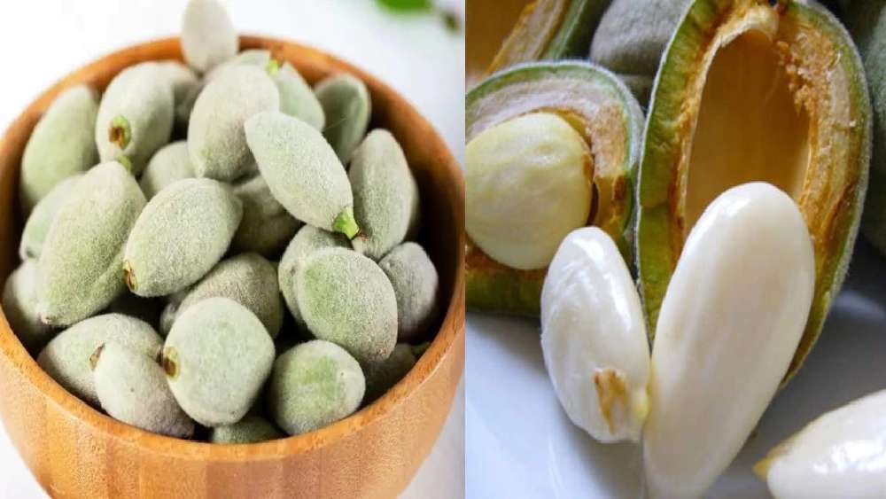 কাঁচা কাঠবাদামও শরীরের জন্য দারুণ উপকারী।