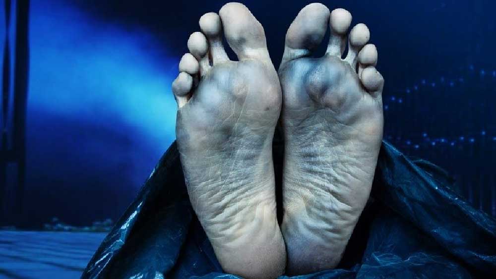 তদন্তে নেমে পুলিশ জানতে পারে, দিমিত্রির হাতেই খুন হয়েছেন ওই মহিলা। খুনে সঙ্গ দিয়েছেন নাতালিয়াও। মৃত ওই মহিলার নাম এলেনা ভাখরুশেভা। ২০১৭ সালের ৮ সেপ্টেম্বর একসঙ্গে মদ্যপানের পর নাতালিয়া এবং এলেনার মধ্যে হঠাৎ ঝগড়া শুরু হয়। এর পর এলেনাকে নৃশংস ভাবে খুন করে নাতালিয়া এবং দিমিত্রি।