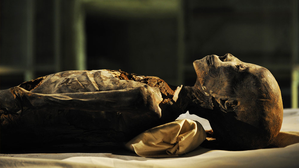 অভিযোগ, দলিল তৈরির পর অন্ত্যেষ্টিক্রিয়ার খরচের গোটাটাই হাতানোর ছক কষেছিলেন চার্লস। মৃত্যুর পর হানাকে মমি করে রেখে দিয়েছিলেন তিনি। যদিও হানার দলিলে কোথাও উল্লেখ নেই যে তাঁকে মমি করে রাখা হোক।