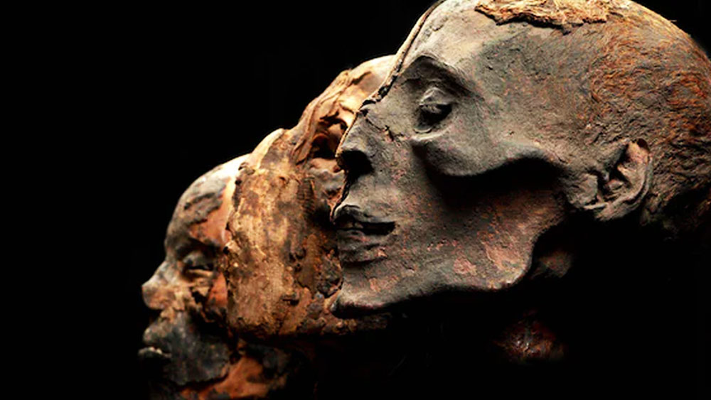 আর্থিক কারণ ছাড়াও হানাকে মমি করে রাখার পিছনে চার্লসের আরও একটি উদ্দেশ্য ছিল বলে দাবি। চার্লসের সংগ্রহে একাধিক মমি ছিল। সেই সংগ্রহে আরও একটি মমি রাখার লোভ সামলাতে পারেননি তিনি। সেটি হানার মমি।