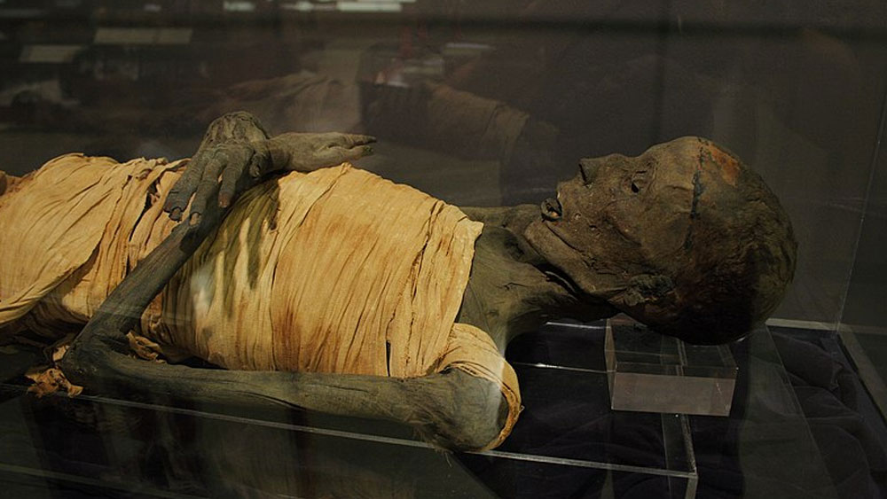 একেবারে প্রথম দিকে হানার মমিটি রাখা হয়েছিল অ্যানকোটস হলে বেসউইক পরিবারের এক আত্মীয়ের বাড়িতে। তবে পরে ম্যানচেস্টারের সেল এলাকায় নিজের বাড়িতে তা নিয়ে যান চার্লস। সেখানে একটি ঘড়ির বাক্সে মমিটি রেখে দেন।