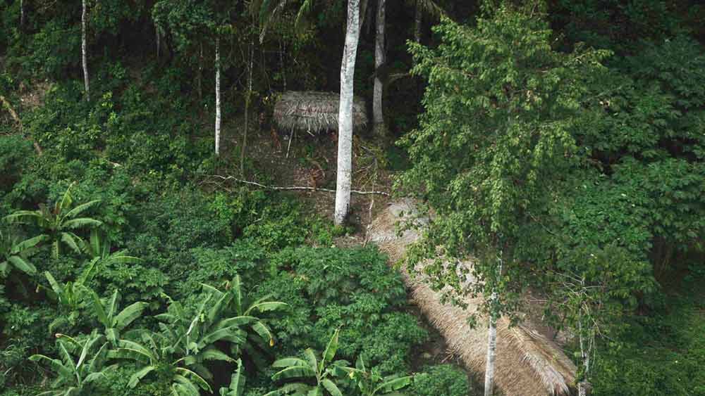 কী ভাবে মৃত্যু হল ওই বৃদ্ধের? তা জানতে ফরেন্সিক বিশেষজ্ঞদের সাহায্যে নেবেন রনদোনিয়া স্টেট কর্তৃপক্ষ। যদিও ফুনাইয়ের আধিকারিকেরা জানিয়েছেন, প্রাথমিক ভাবে বৃদ্ধের দেহ দেখে অস্বাভাবিক কিছু নজরে পড়েনি তাঁদের। কোনও জোরজবরদস্তি বা তাঁর বিরুদ্ধে হিংসার কোনও চিহ্ন নেই। এমনকি, আশপাশে লোকজনের উপস্থিতিও নজরে আসেনি।