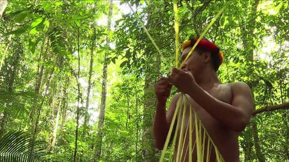 ‘সারভাইভাল ইন্টারন্যাশনাল’ নামে লন্ডনের একটি স্বেচ্ছাসেবী মানবাধিকার সংস্থার দাবি, গত ২৬ বছর তানারুতে একলাই কাটিয়েছেন তিনি।