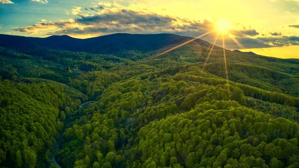 তানারু জনজাতির জমিতেই বসবাস করতেন ওই বৃদ্ধ। সে কারণে তাঁকে ‘তানারু ইন্ডিয়ান’ নামেও ডাকতে শুরু করেছিলেন অনেকে।