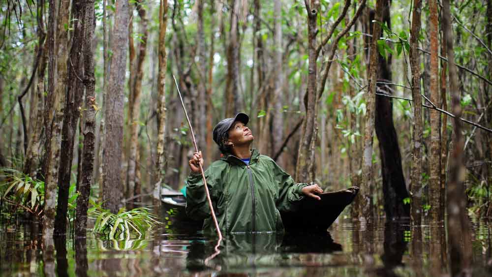 ফিয়োনার মতে, গর্তের মানুষের মৃত্যুর পর একটি গোটা আদিবাসী জনজাতিই নিশ্চিহ্ন হয়ে গিয়েছে। একে গণহত্যা বলে আখ্যা দিয়েছেন তিনি। ফিয়োনা বলেন, ‘‘এটা গণহত্যা নয় তো কী? জমি এবং অরণ্যের সম্পদের লোভে একটি গোটা জনগোষ্ঠীকেই ইচ্ছা করে শেষ করে দিল পশুপালকদের দল।’’