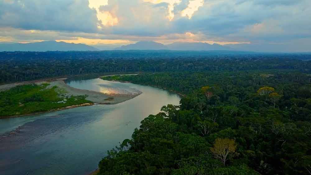 লন্ডনের ওই সংস্থার দাবি, বৃদ্ধের পরিত্যক্ত জিনিসপত্র পরীক্ষা করে তাঁর জীবনযাপন সম্পর্ক তথ্য পাওয়া যেতে পারে। আমাজনের অরণ্যে তিনি ভুট্টা এবং পেঁপের ক্ষেতও করেছিলেন। এমনকি, একটি খড়ের ছাউনিওয়ালা ঘরও গড়েছিলেন। 
