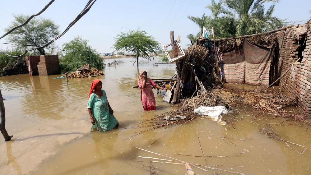 জুন থেকে অবিরাম বৃষ্টির জেরে জলমগ্ন পাকিস্তান। সে দেশের বন্যার এই ভয়াল চেহারায় পাক সরকারের মতোই চিন্তিত রাষ্ট্রপুঞ্জের মহাসচিব আন্তোনিয়ো গুতেরেস। 