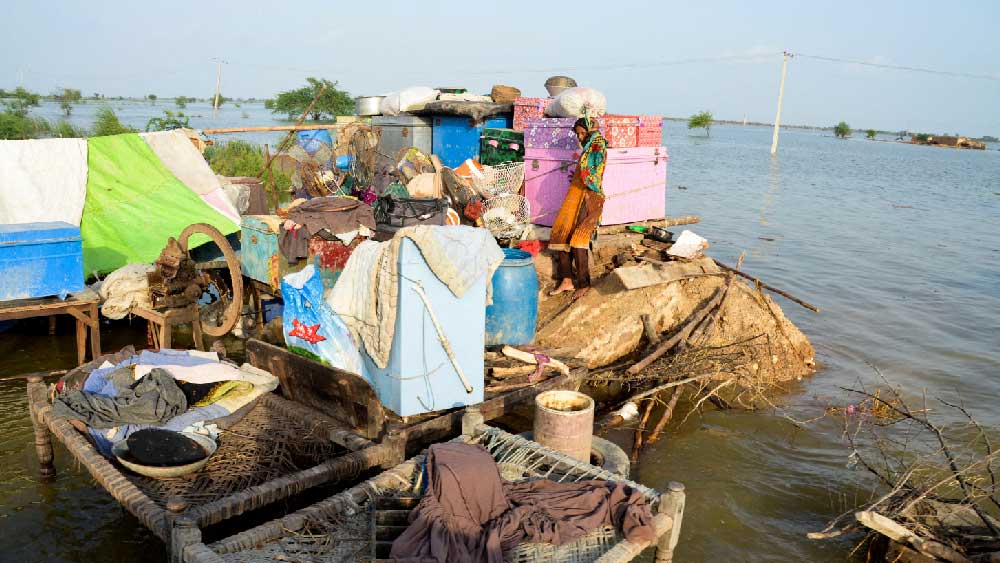 বন্যার জেরে নিরাপদ আশ্রয়ের খোঁজ পাননি সে দেশের বহু বাসিন্দা। গোদের উপর বিষফোঁড়া, নিত্যপ্রয়োজনীয় জিনিসপত্রের আকাশছোঁয়া দাম। বালুচিস্তানের রাজধানী কোয়েটার বাসিন্দা সাদিয়া বলেন, ‘‘এখানে একটাও বাড়ি পাওযা যাবে না, যাকে নিরাপদ বলা যায়। কোনও সাহায্য ছাড়াই খোলা আকাশের নীচে বাস করতে হচ্ছে।’’