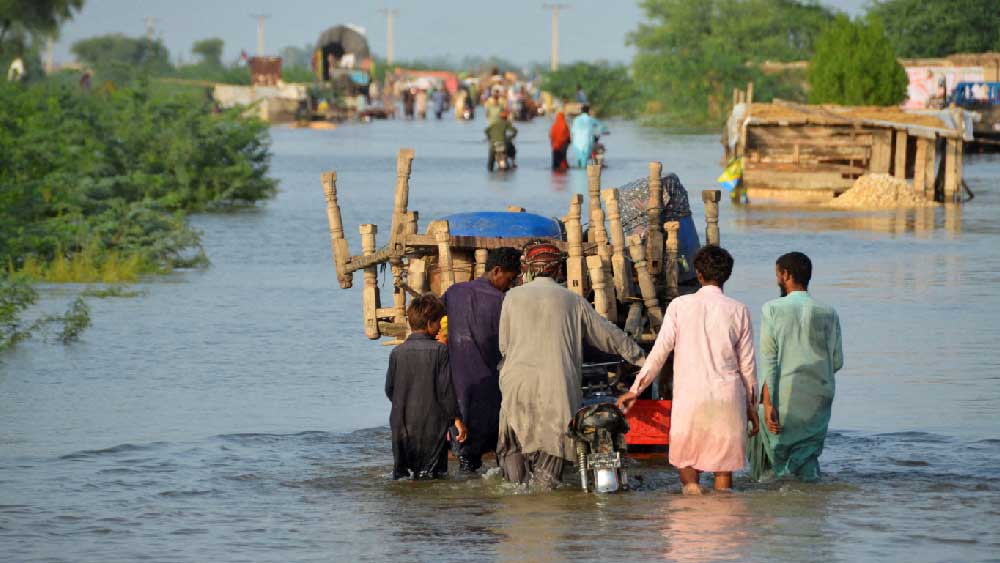 বন্যা ভাসিয়ে নিয়েছে একরের পর একর কৃষিজমি। যার জেরে কৃষিজাত দ্রব্যের সরবরাহ ব্যবস্থা ব্যাহত হয়েছে। তার প্রভাবে বেড়েছে খাদ্যসামগ্রীর দাম।