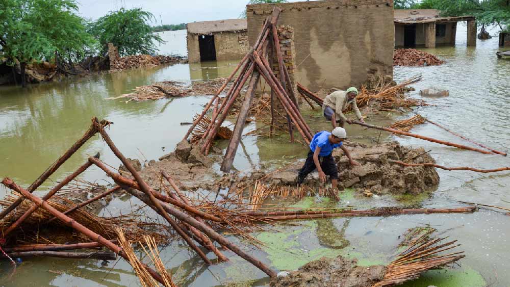 পাক সরকারের আহ্বানে আন্তর্জাতিক স্তর থেকে সাড়া মিলেছে। সোমবার পাকিস্তানকে তড়িঘড়ি ১১০ কোটি ডলারের ঋণ মঞ্জুর করেছে আন্তর্জাতিক অর্থ ভান্ডার (আইএমএফ)।