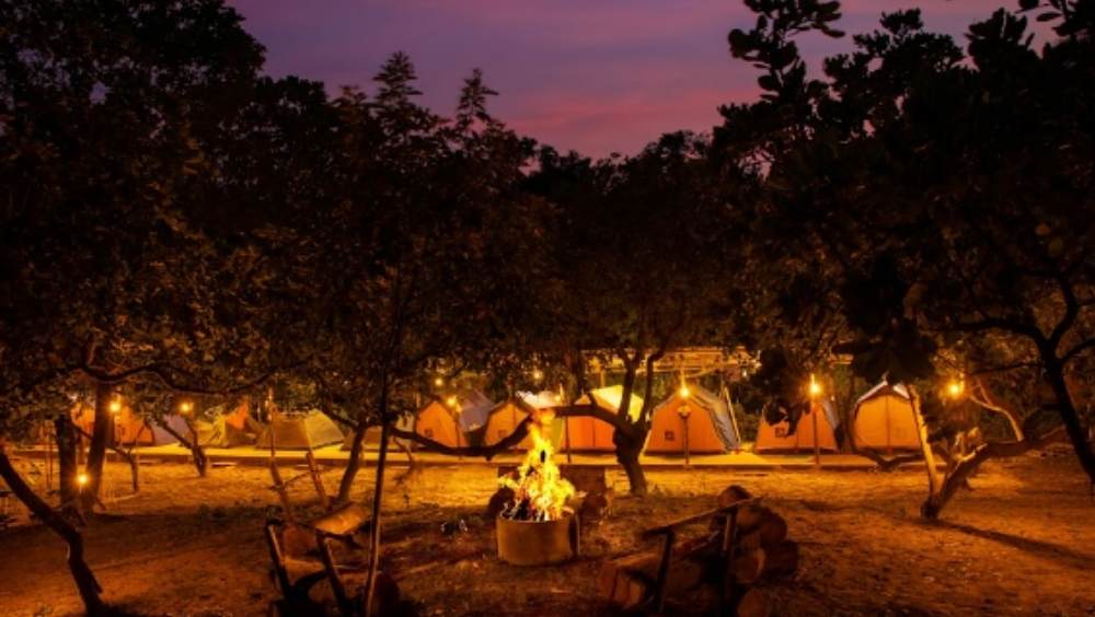 বাগদা ব্যাকপ্যাকার্স ক্যাম্প: ওড়িশায় নির্জন বঙ্গোপসাগরের তীরে কাজু বনে ক্যাম্পিং! এমন অভিজ্ঞতা চাইলে ঘুরে আসুন বাগদা ব্যাকপ্যাকার্স ক্যাম্পে। রাতে ক্যাম্প ফায়ারে সমুদ্রের গর্জন শুনতে শুনতে বার-বি-কিউ চিকেন খাওয়ার মজাই আলাদা! কলকাতা থেকে বাগদা ব্যাকপ্যাকার্স ক্যাম্পের দূরত্ব প্রায় ২৪৫ কিলোমিটার। থাকা, খাওয়া ও ক্য়াম্প ফায়ার নিয়ে মাথাপিছু খরচ পড়বে ১২০০ থেকে ১৪০০ টাকা। ছবি ও তথ্য সৌজন্যে: ইজিফিসো ব্যাকপ্যাকার্স। 